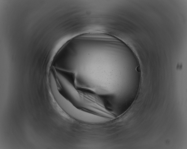X0000092271488200710051329
