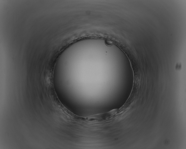 X0000092271490200710051328
