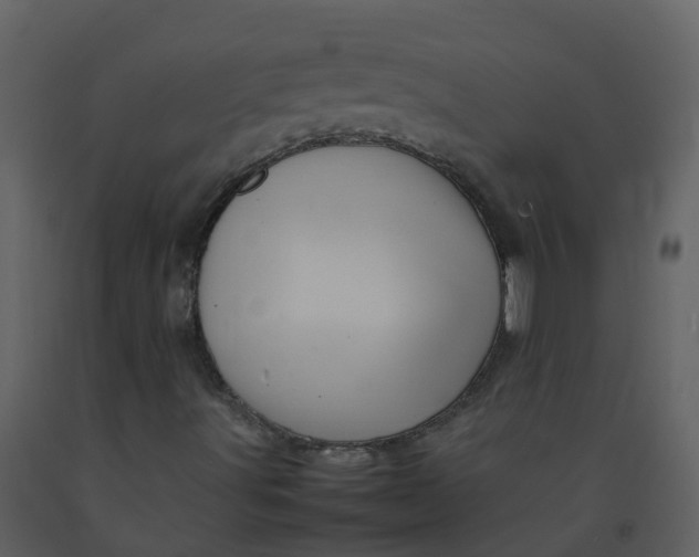 X0000092271491200710051328