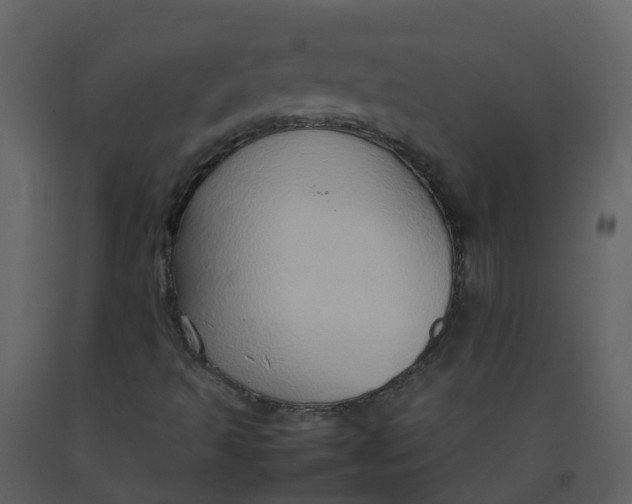 X0000092271493200710051328
