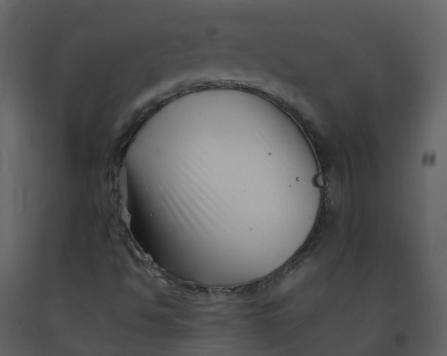 X0000092271494200710051328