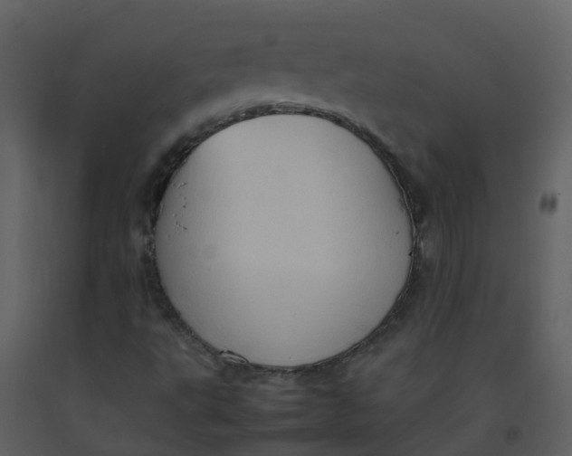 X0000092271495200710051328