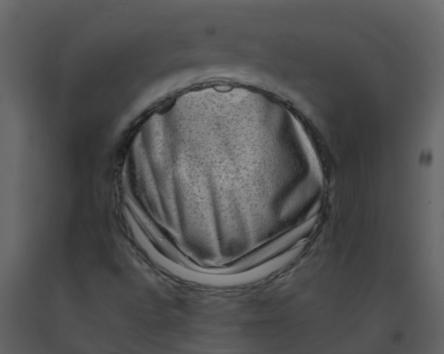 X0000092271496200710051328