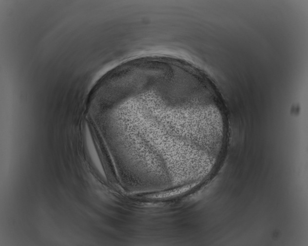 X0000092271497200710051328