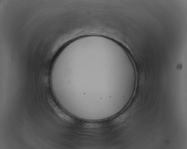 X0000092271499200710051328