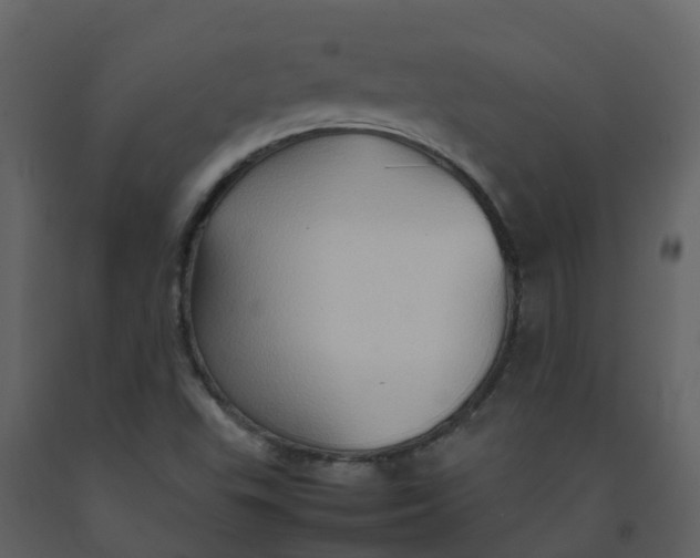 X0000092271503200710051328
