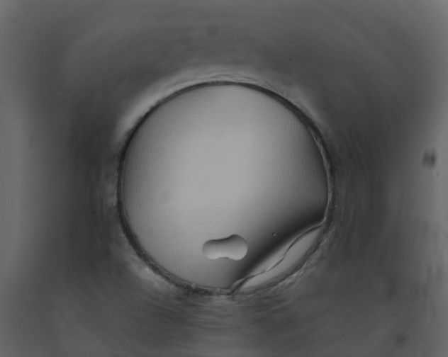 X0000092271504200710051328