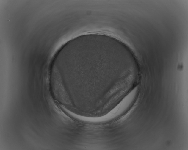 X0000092271506200710051328