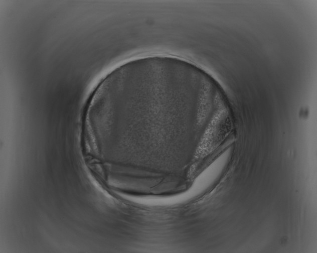X0000092271508200710051328