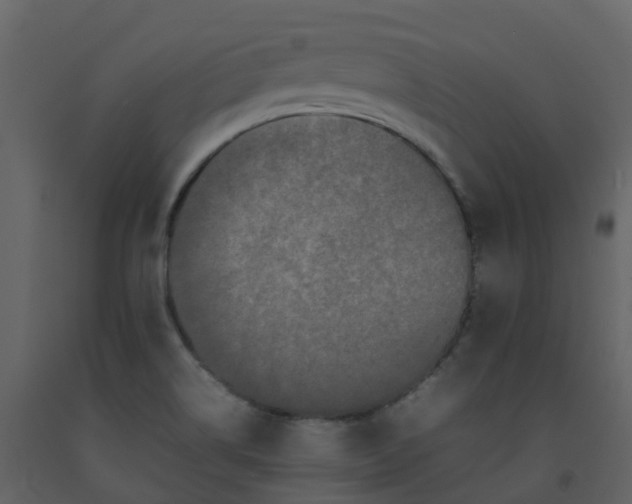 X0000092271514200710051329