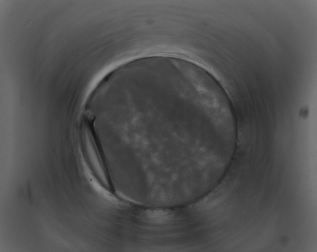 X0000092271515200710051329