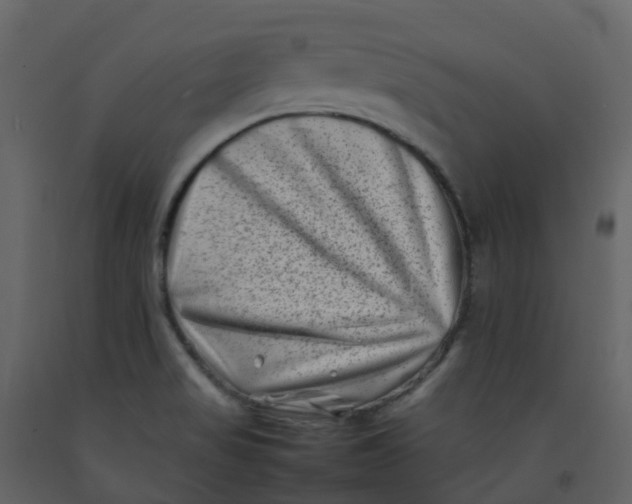 X0000092271517200710051329