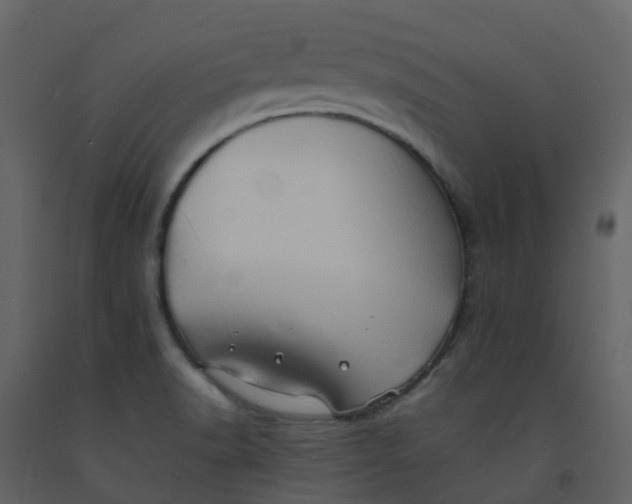 X0000092271518200710051329