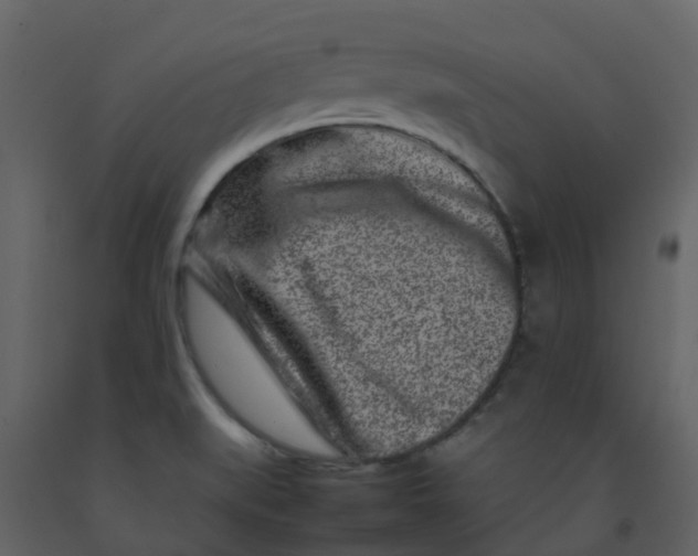 X0000092271519200710051329
