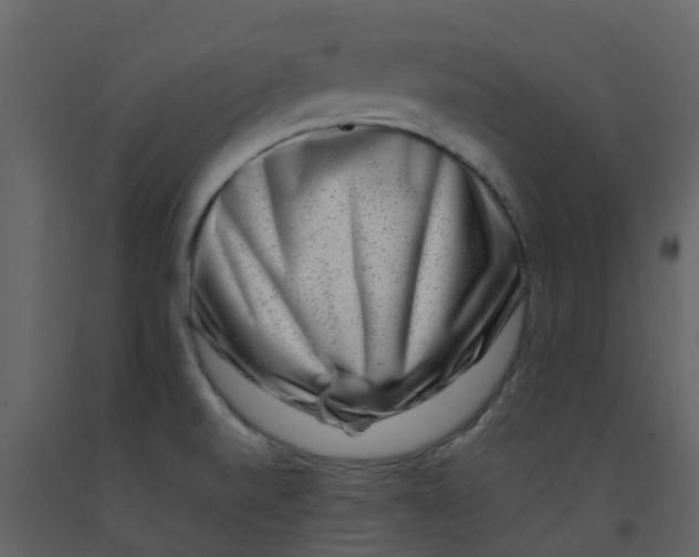 X0000092271520200710051329