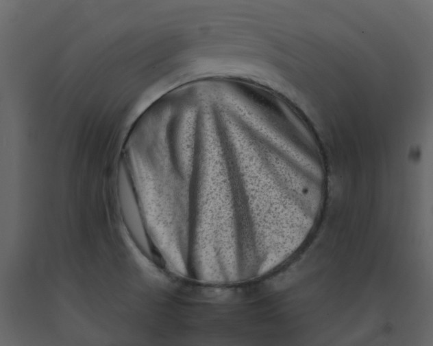 X0000092271521200710051329