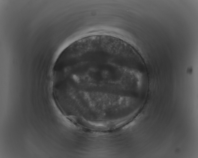 X0000092271522200710051329