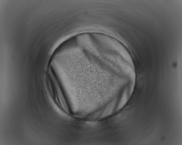 X0000092271523200710051329