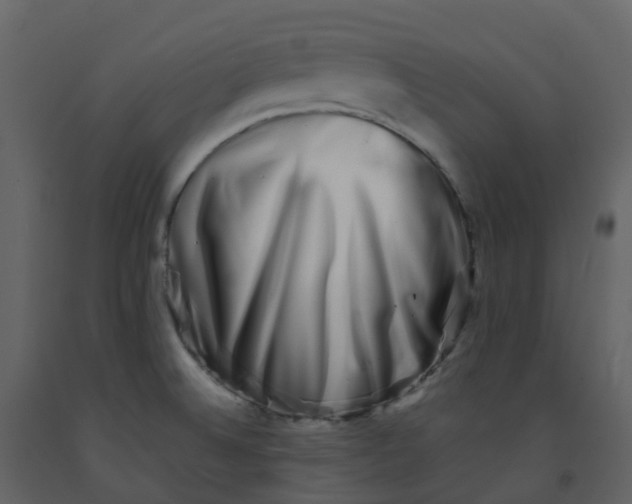 X0000092271524200710051329