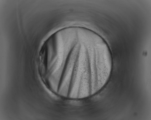 X0000092271525200710051329