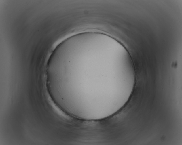 X0000092271526200710051329