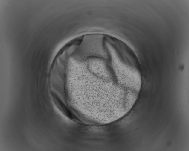 X0000092271527200710051329