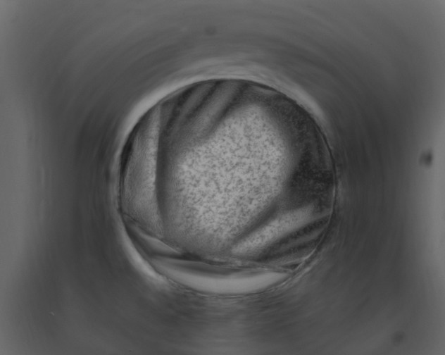 X0000092271528200710051329