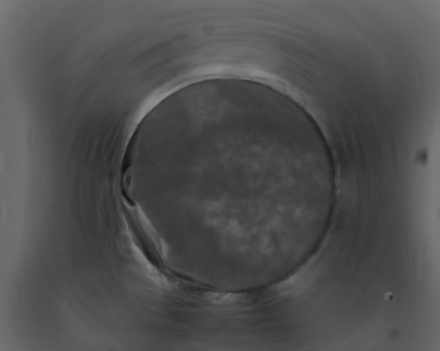 X0000092271529200710051329