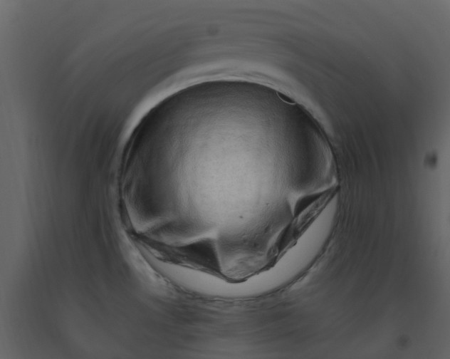 X0000092271530200710051329