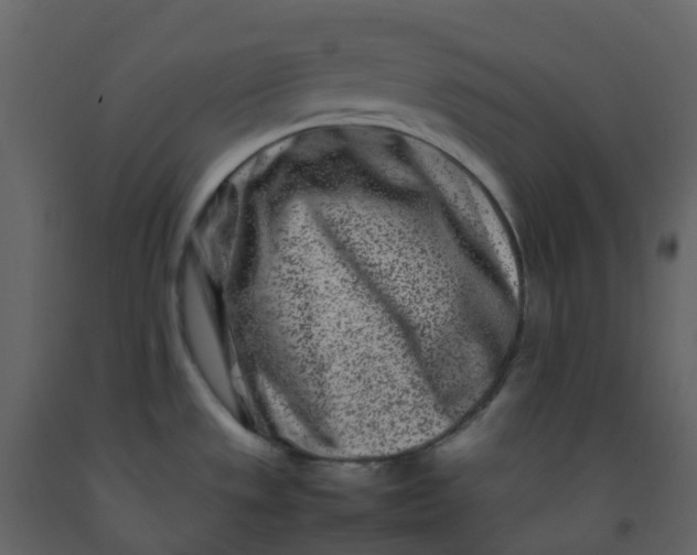 X0000092271533200710051329
