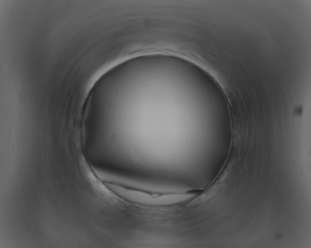 X0000092271534200710051329
