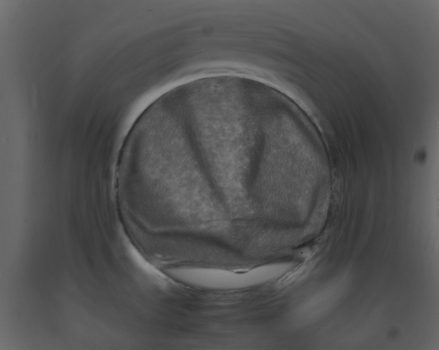 X0000092271535200710051329
