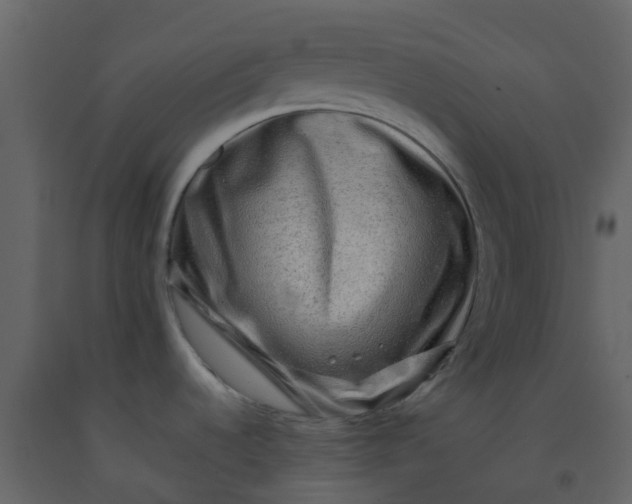 X0000092271536200710051329