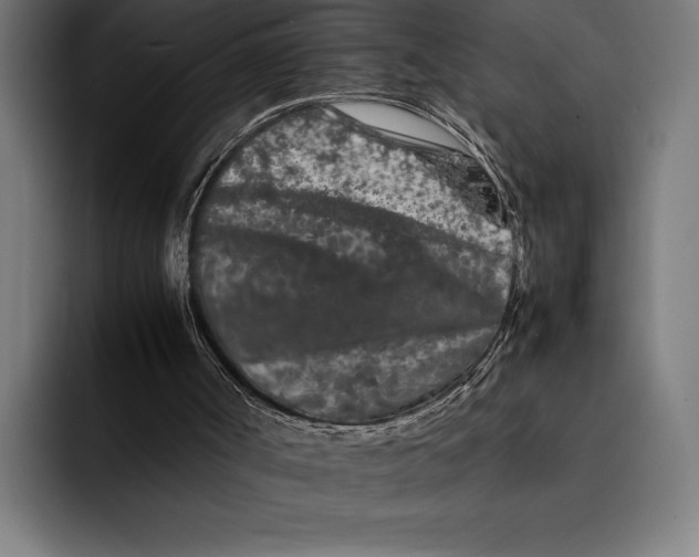 X0000092270002200710121349