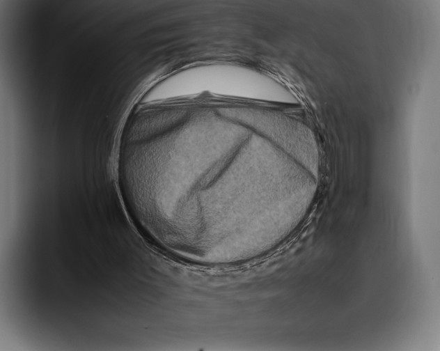 X0000092270003200710121349
