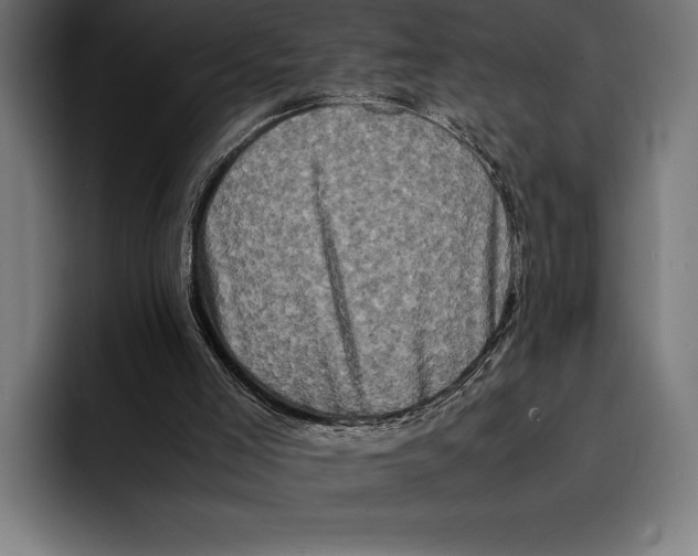 X0000092270005200710121349