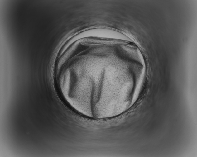 X0000092270007200710121349