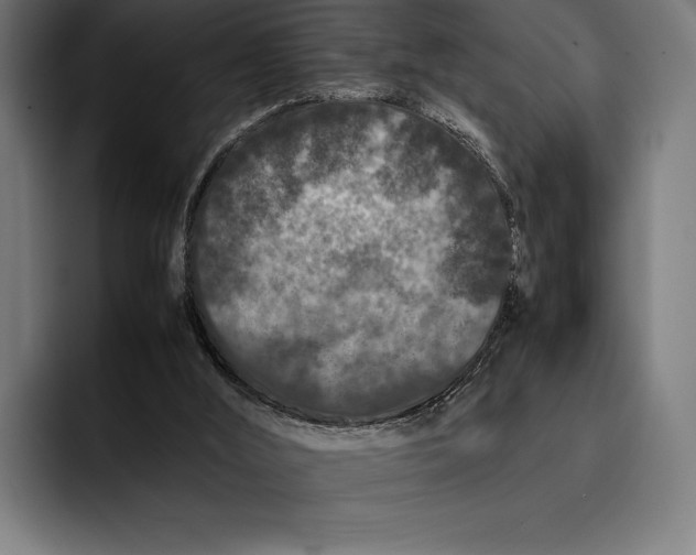 X0000092270012200710121349