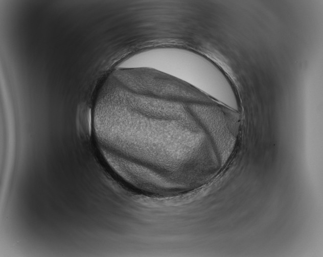 X0000092270013200710121349