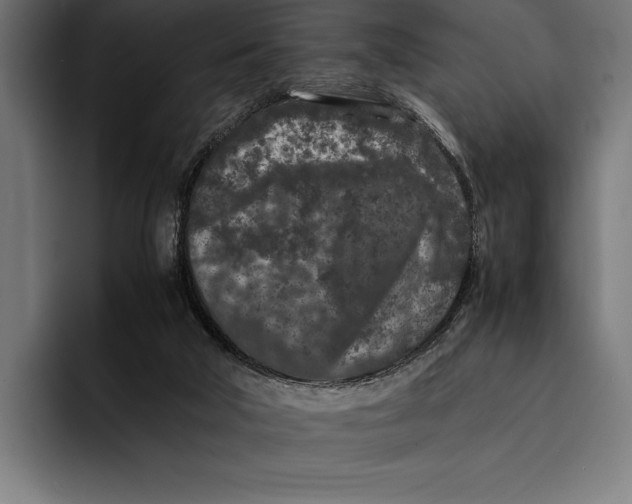 X0000092270018200710121348