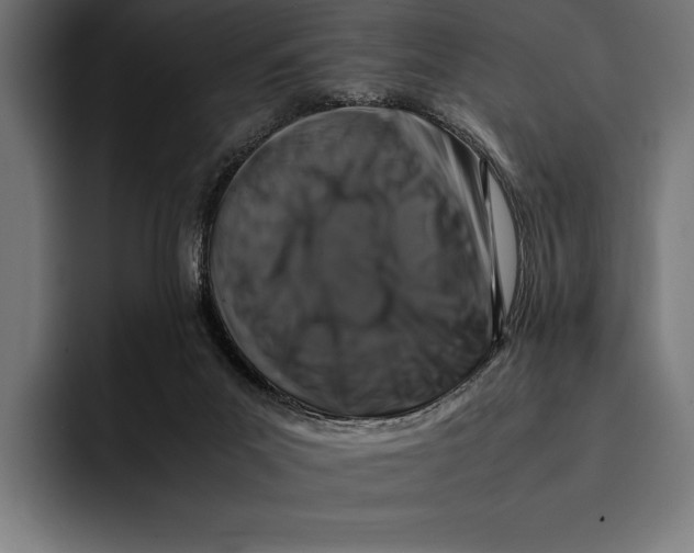 X0000092270023200710121348