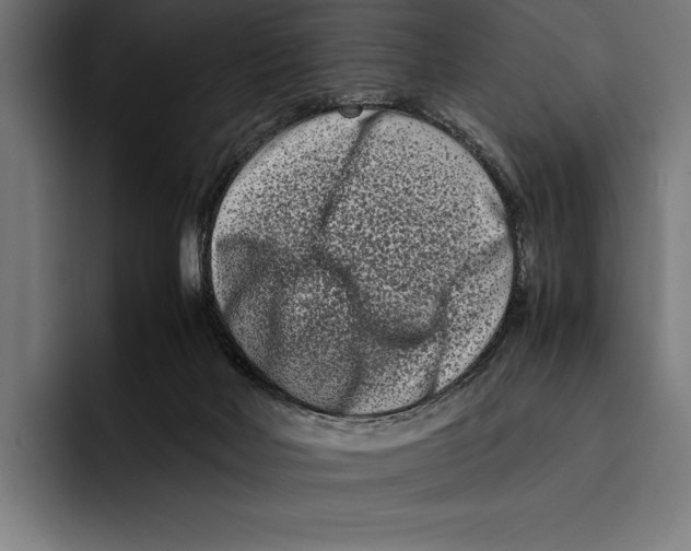 X0000092270026200710121348