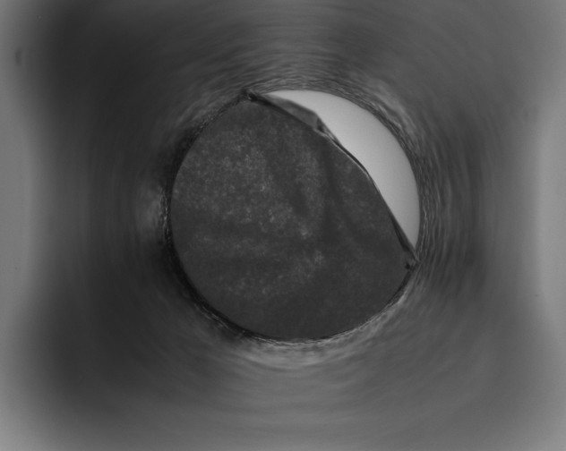 X0000092270029200710121348