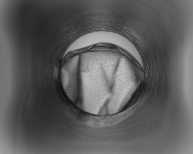 X0000092270033200710121348
