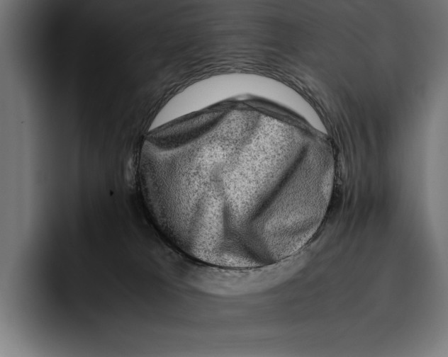 X0000092270037200710121348