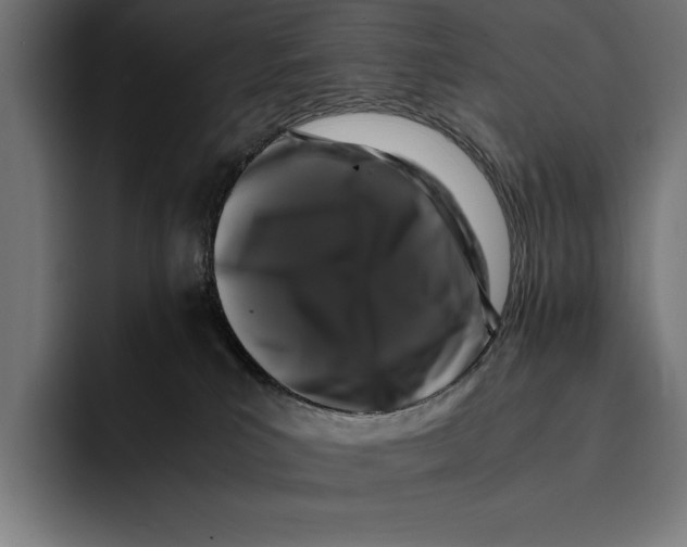 X0000092270039200710121348