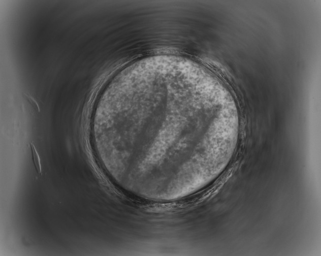 X0000092270049200710121348