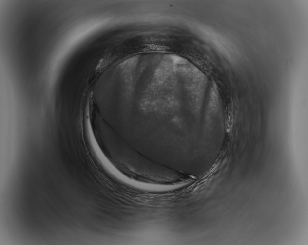 X0000092270052200710121348