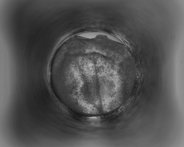 X0000092270053200710121348