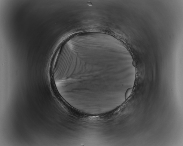 X0000092270054200710121348